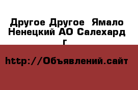 Другое Другое. Ямало-Ненецкий АО,Салехард г.